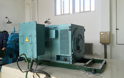 达孜某水电站工程主水泵使用我公司高压电机